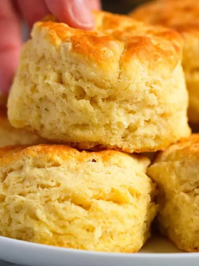 Fluffy Homemade Biscuits