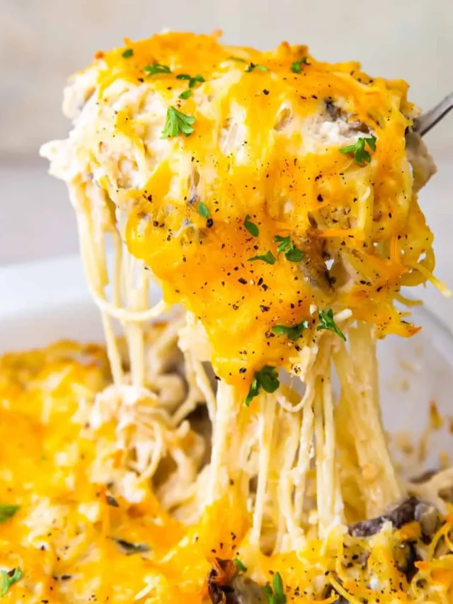 CHICKEN TETRAZZINI RECIPE