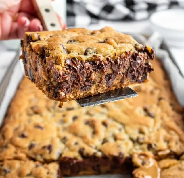 CHOCOLATE PEANUT BUTTER COOKIE BARS