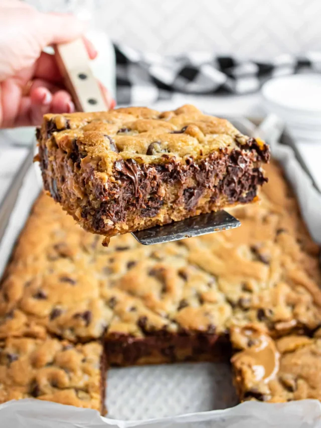 CHOCOLATE PEANUT BUTTER COOKIE BARS